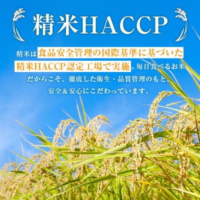 令和8年産 宮崎県産コシヒカリ無洗米10kg(5kg×2)[3302]
