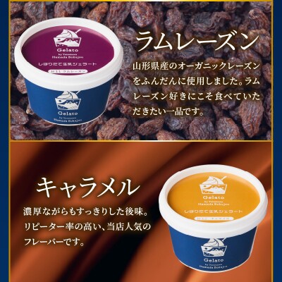 生乳ジェラートバラエティセット　ミルク ラムレーズン キャラメル 抹茶 ブルーベリー