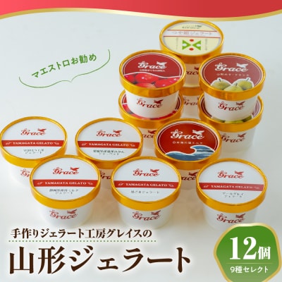 山形ジェラート & ジェラートマエストロお勧め 12個 詰合せ