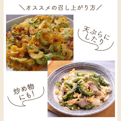 【2026年10月以降順次発送】ゴーヤ 3kg 家庭用 野菜 yr-0075