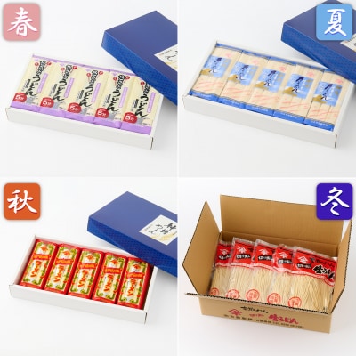 【定期便・春夏秋冬・年4回】四季の麺・九州佐賀神埼麺(H014148)