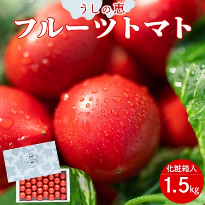 【先行受付】野菜ソムリエが育てた うしの恵 フルーツトマト 1.5kg(化粧箱入) mj-0019