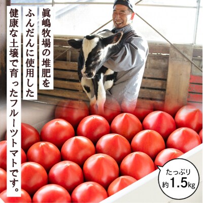 【先行受付】野菜ソムリエが育てた うしの恵 フルーツトマト 1.5kg(化粧箱入) mj-0019