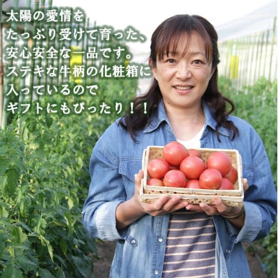 【先行受付】野菜ソムリエが育てた うしの恵 フルーツトマト 1.5kg(化粧箱入) mj-0019