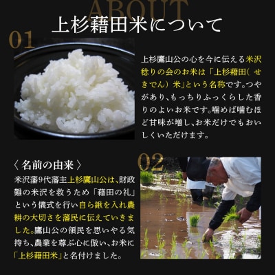 2026年1月配送開始【3ヶ月定期便 / 令和7年産】 はえぬき 5kg × 3回 計 15kg