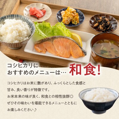 【3ヶ月定期便】 令和7年産 コシヒカリ 10kg ( 5kg × 2袋 ) × 3回 計30kg