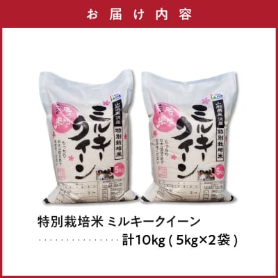 令和7年産 特別栽培米 ミルキークイーン 10kg ( 5kg×2袋 )