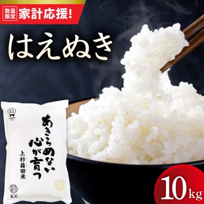 【令和7年産】 はえぬき 10kg ( 5kg × 2袋 )