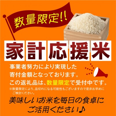 【令和7年産】 はえぬき 10kg ( 5kg × 2袋 )