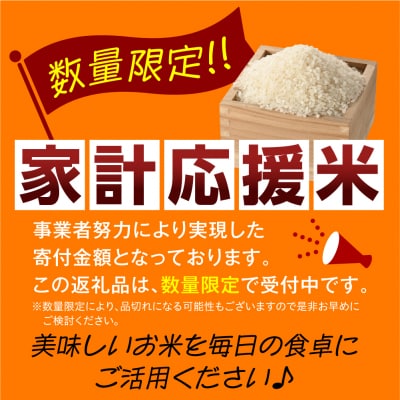 【6ヶ月定期便】 令和7年産 はえぬき 20kg ( 5kg × 4袋 ) × 6回 計120kg
