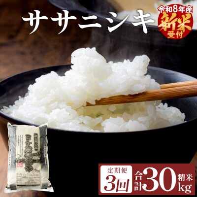 <先行受付> 【定期便3回】 米 令和8年産 ササニシキ 精米 30kg (10kg×3) 新米