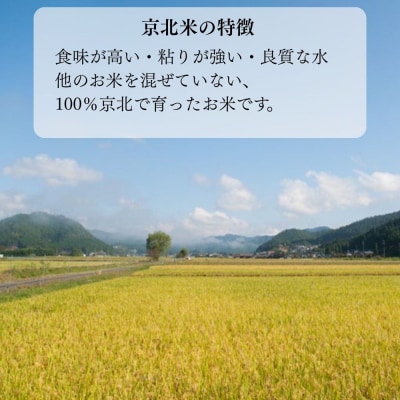 【新米先行受付】令和8年産 コシヒカリ 5kg 京都・京北米【京北水稲担い手協議会】