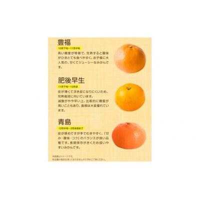 【先行予約】山本果樹園の旬のみかん 10kg 山本果樹園《9月中旬-2月末頃出荷》
