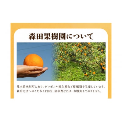 森田果樹園の不知火 5kg《2027年2月中旬-4月下旬頃出荷》