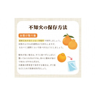 森田果樹園の不知火 5kg《2027年2月中旬-4月下旬頃出荷》