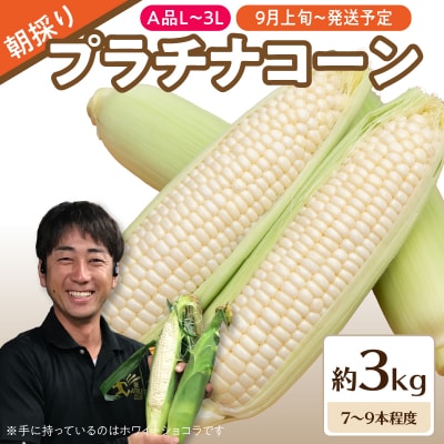 《先行受付》朝採りプラチナコーン約3kg・A品L～3L 【9月上旬頃～発送予定】 027-007