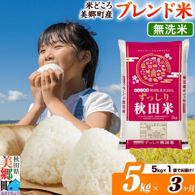《定期便3ヶ月》ブレンド米【無洗米】精米 5kg(5kg×1袋)|01_ssn-010503m