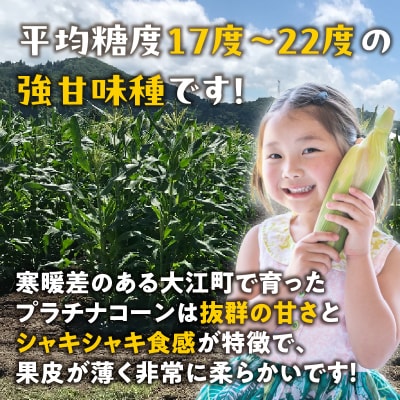 《先行受付》朝採りプラチナコーン約5kg・A品L～3L【9月上旬～発送予定】 027-008
