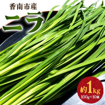 生産量日本一香南市のニラ 1kg on-0010
