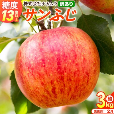 りんご サンふじ【訳あり】約3kg(8～13玉程度)先行受付|24_nmk