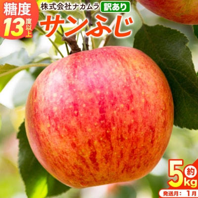 りんご サンふじ【訳あり】約5kg(14～23玉程度)先行受付|24_nmk