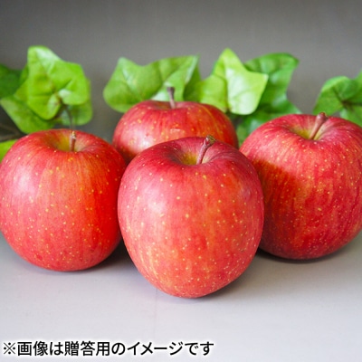 りんご サンふじ【訳あり】約5kg(14～23玉程度)先行受付|24_nmk-010501af