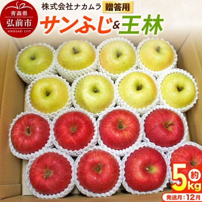 りんご サンふじ・王林【贈答用】約5kg(16～20玉程度)先行受付|24_nmk-020501be