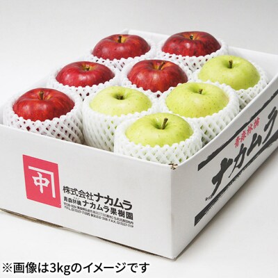 りんご サンふじ・王林【贈答用】約5kg(16～20玉程度)先行受付|24_nmk-020501be