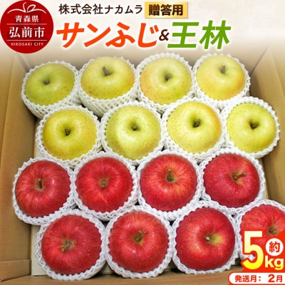 りんご サンふじ・王林【贈答用】約5kg(16～20玉程度)先行受付|24_nmk