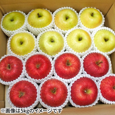 りんご サンふじ・王林【贈答用】約5kg(16～20玉程度)先行受付|24_nmk-020501bg