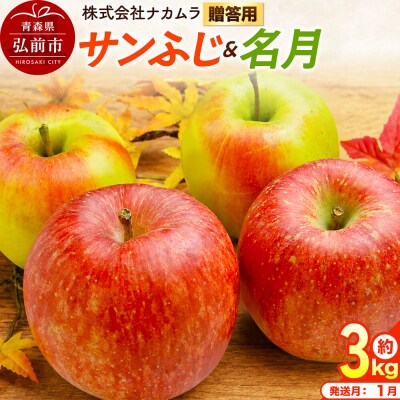 りんご サンふじ・名月【贈答用】約3kg(9～12玉程度)先行受付|24_nmk-030301bf