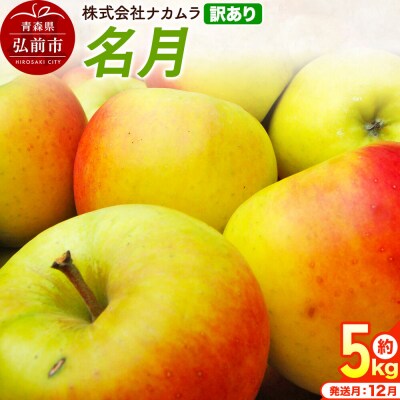 りんご 名月【訳あり】約5kg(14～23玉程度)先行受付|24_nmk-040501ae