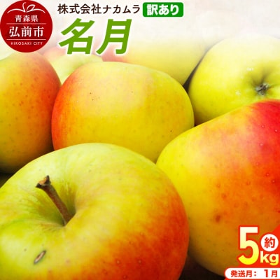 りんご 名月【訳あり】約5kg(14～23玉程度)先行受付|24_nmk-040501af