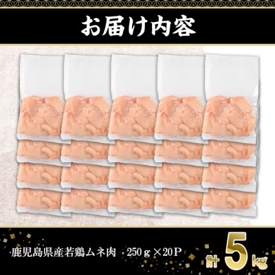 鹿児島県産若鶏ムネ肉切身(250g×20P)