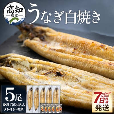 高知県産うなぎの白焼き 150～180g×5尾 - エコ包装 yw-0117