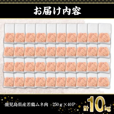  鹿児島県産若鶏ムネ肉切身(250g×40P)