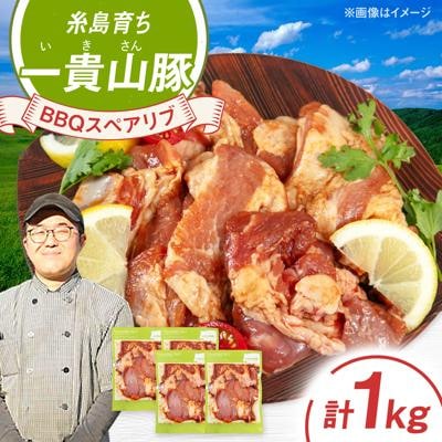 一貴山豚 BBQスペアリブ 計1kg(250g×4p) 糸島市/いきさん牧場 豚肉 [AGB049]