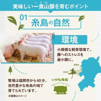 一貴山豚 BBQスペアリブ 計1kg(250g×4p) 糸島市/いきさん牧場 豚肉 [AGB049]