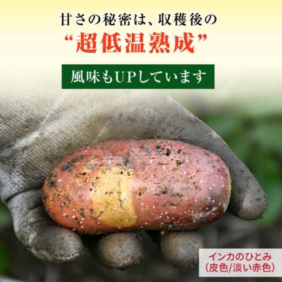 糸島育ちのジャガイモ 2種食べ比べ インカのめざめ インカのひとみ各1kg・計2kg[ACO012]