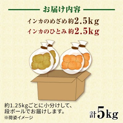 糸島育ちのジャガイモ 食べ比べ インカのめざめ/インカのひとみ各2.5kg・計5kg[ACO013]