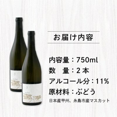 【糸島マスエワイナリ】STILL白Koshu Muscut 2本 糸島市[AEP002]