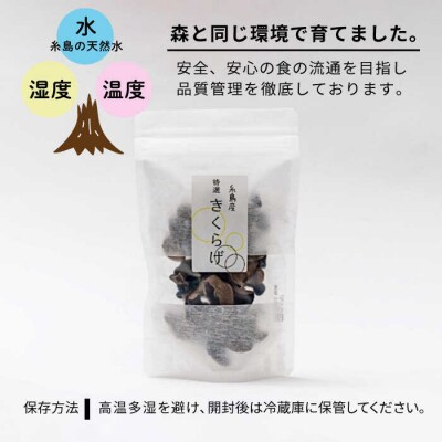 糸島産 乾燥木耳(きくらげ) 《糸島》 【土居農園】 乾物 きのこ [AEL001]