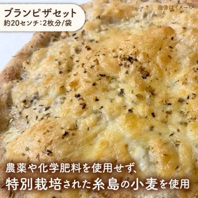 【全3回定期便】おうちで簡単 パンとピザのキット全種 3袋 (各1回分) [AVC038]