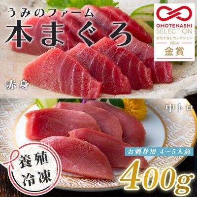 国産 養殖本マグロ2種盛 中トロ 赤身 400g 刺身用 冷凍 柵 ギフト 贈答 産地直送 丼 寿司