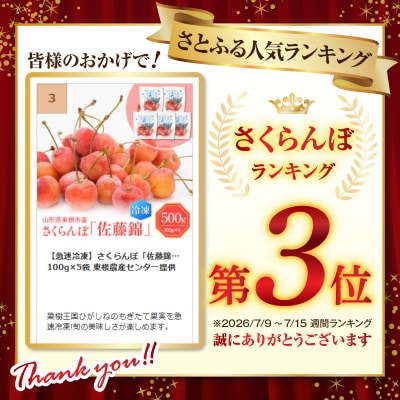 【急速冷凍】さくらんぼ「佐藤錦」100g×5袋 東根農産センター提供 hi027-244