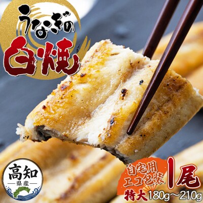 高知県産うなぎの白焼き 180～210g×1尾 エコ包装 国産 うなぎ 白焼き 鰻 yw-0042