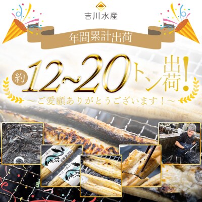 高知県産うなぎの白焼き 180～210g×1尾 エコ包装 国産 うなぎ 白焼き 鰻 yw-0042