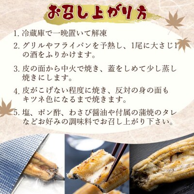 高知県産うなぎの白焼き 180～210g×1尾 エコ包装 国産 うなぎ 白焼き 鰻 yw-0042