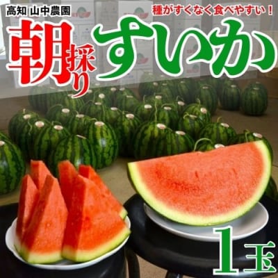 【2026年7月～8月発送】山中農園のスイカ　1玉　103001