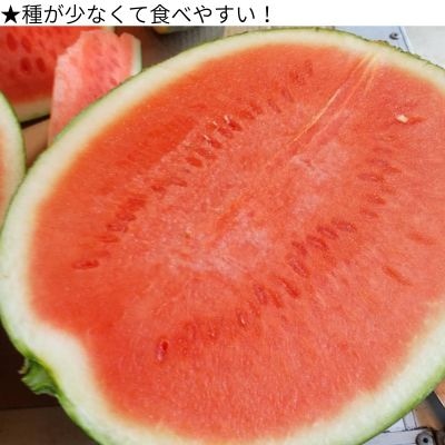 【2026年7月～8月発送】山中農園のスイカ　1玉　103001